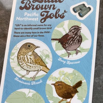 Little Brown Jobs PNW stickers