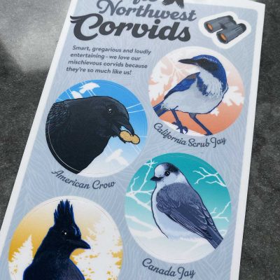 PNW Corvids sticker