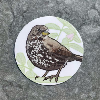 Little Brown Job PNW Fox Sparrow