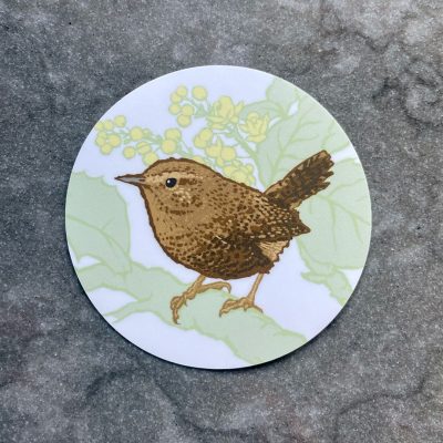 Little Brown Job PNW Pacific Wren