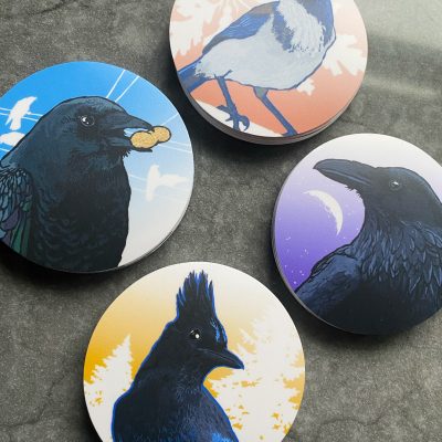 PNW Corvid Crow Raven Jay stickers