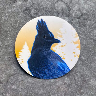 PNW Stellers Jay sticker