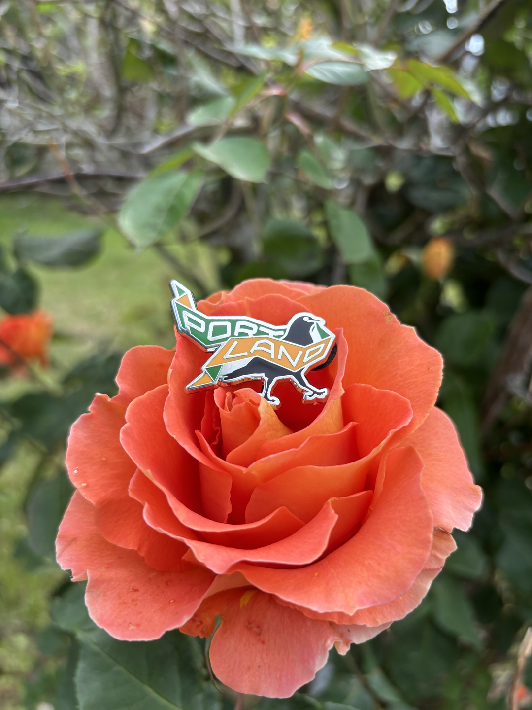 Portland Crow enamel pin