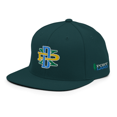 Portland Flag PDX Monogram snapback hat Cascadia