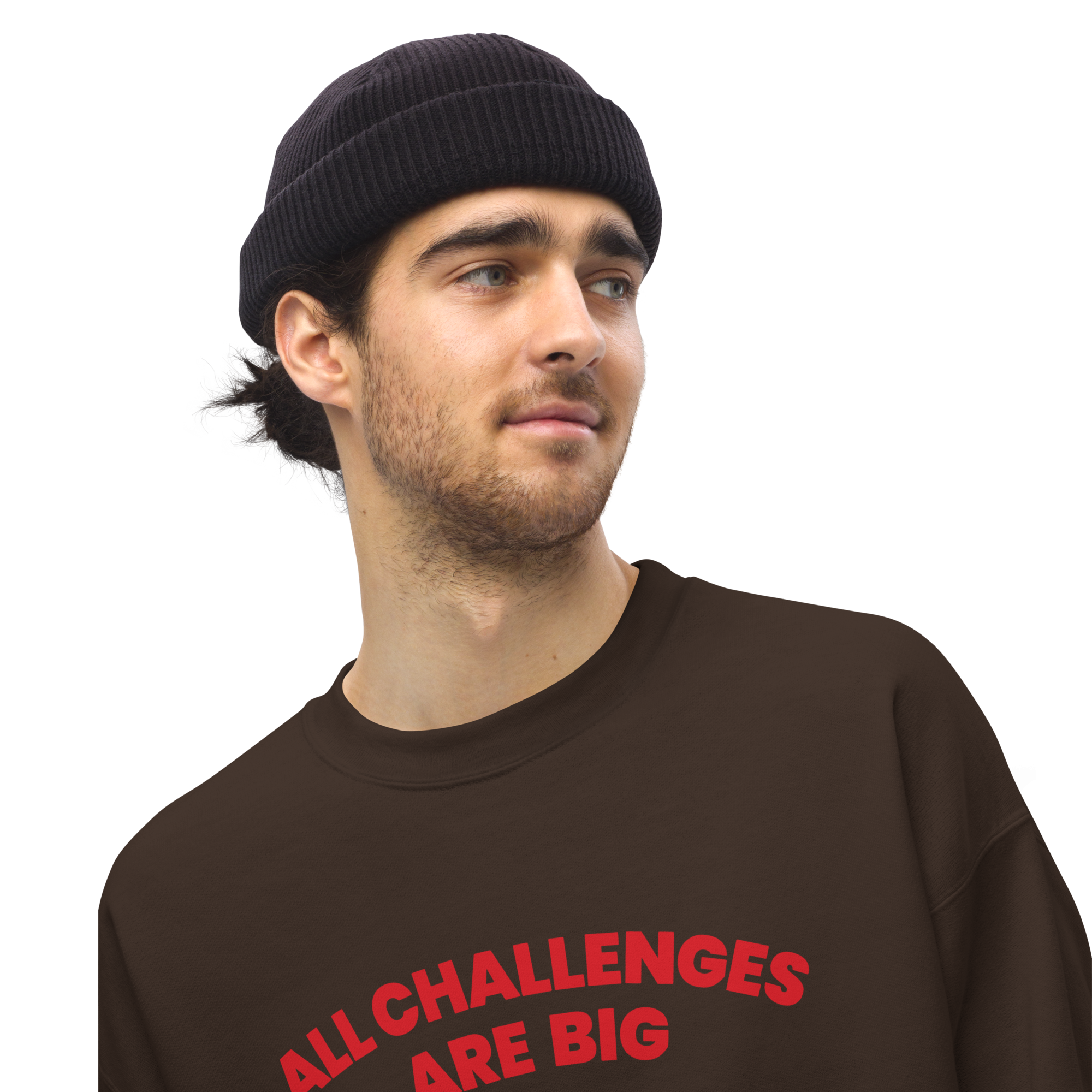All Challenges Are Big ACAB Sanrio Alligator sweatshirt