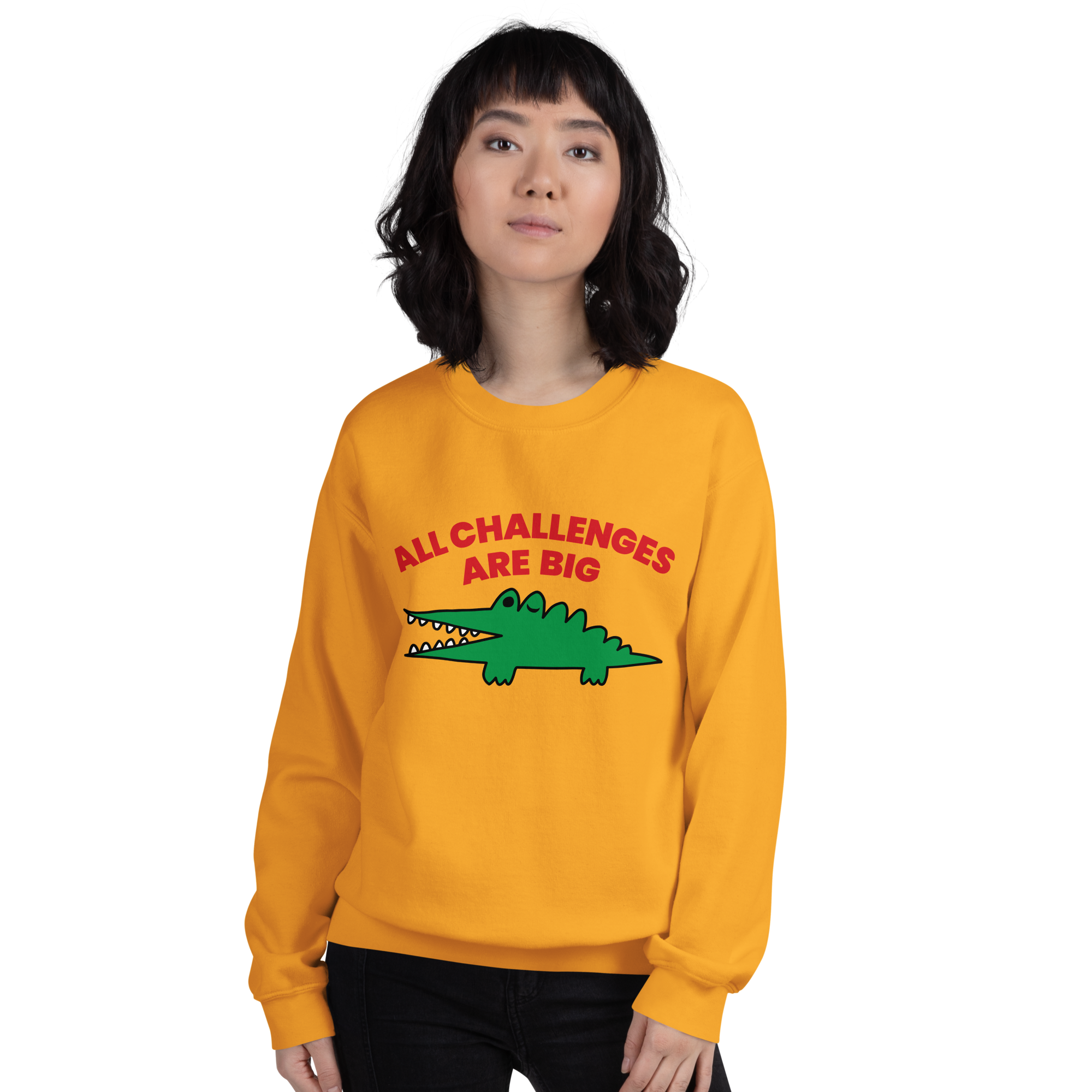 All Challenges Are Big ACAB Sanrio Alligator sweatshirt